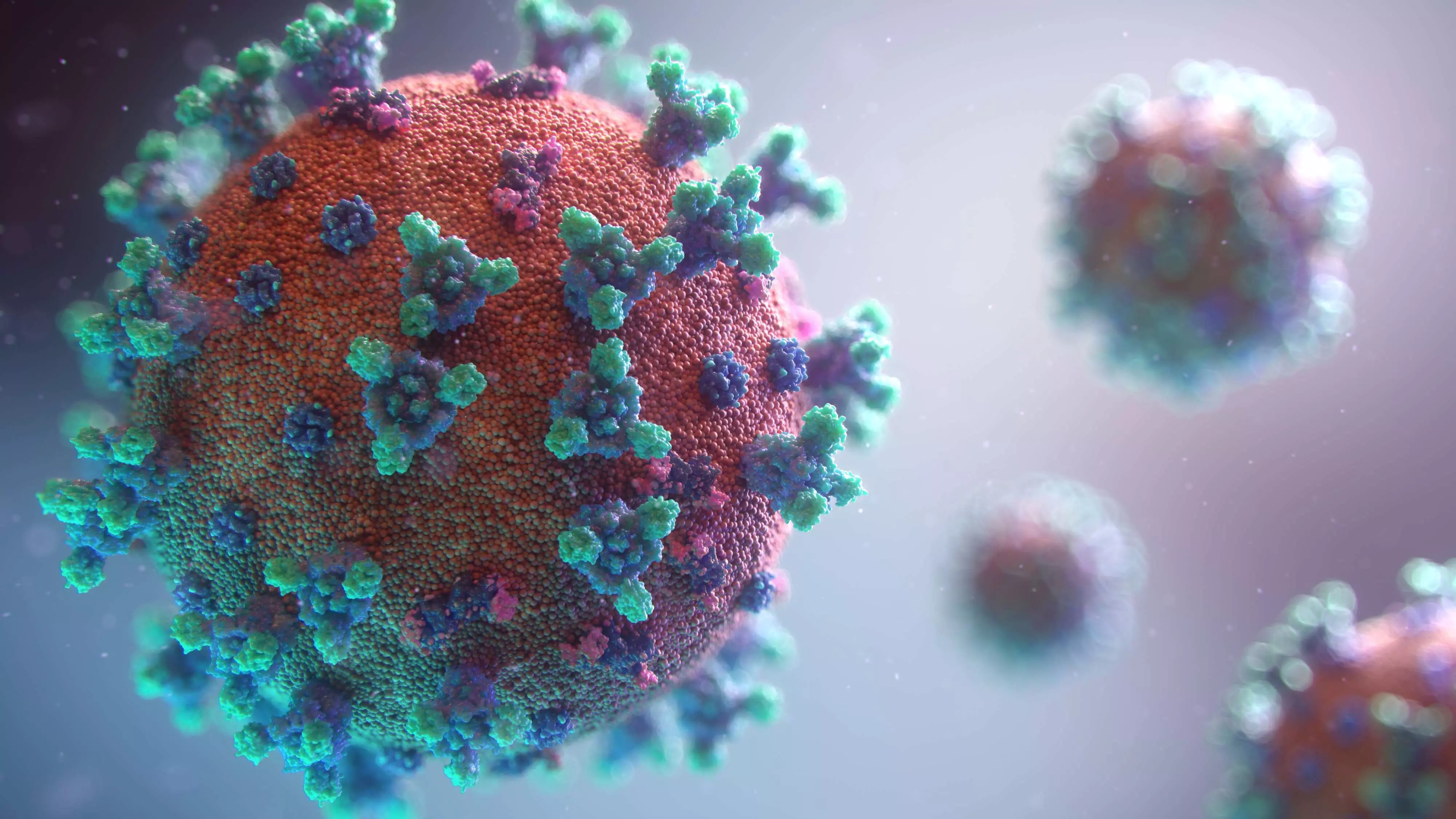 india sees jump in covid infection, over 12,000 new corona cases on 24 hours